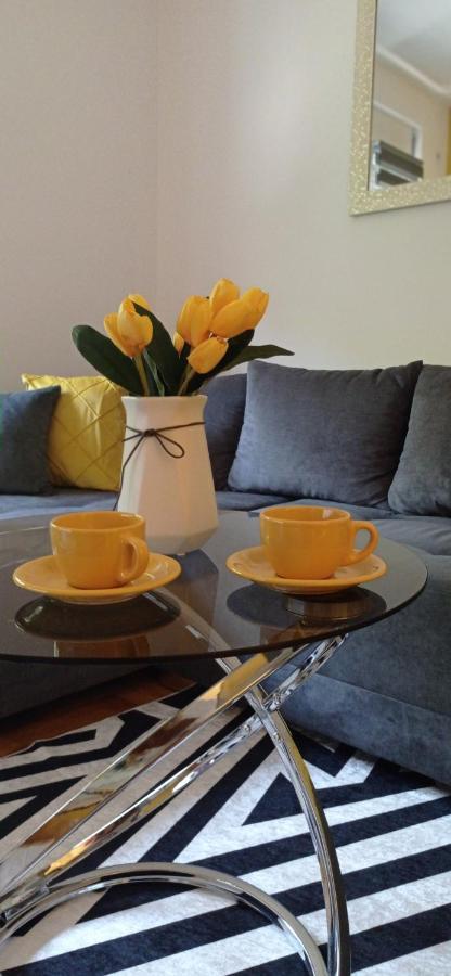 Apartman Sunflower Сремська Митровиця Екстер'єр фото